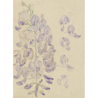 Reproduction of the painting Glycine - Carel Adolph Lion Cachet