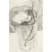 Reproduction of the painting of White Flower in a Glass - Carel Adolph Lion Cachet