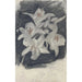 White Lily Painting - Carel Adolph Lion Cachet — artwork view
