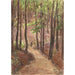 Forest Pathway through Hills in Baden-Baden - Carel Nicolaas Storm van 's Gravesande — artwork view