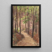 Forest Pathway through Hills in Baden-Baden - Carel Nicolaas Storm van 's Gravesande — framed artwork on a wall
