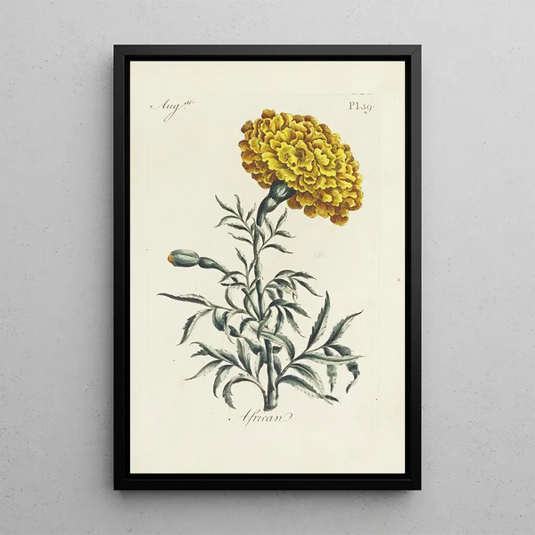 African Painting - Carington Bowles — framed artwork on a wall