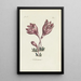 Colchic - Carington Bowles — framed artwork on a wall