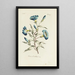 Wisteria - Carington Bowles — framed artwork on a wall