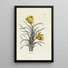 Reproduction of the painting Crocus - Carington Bowles