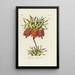 Reproduction of the painting Imperial Crown Painting - Carington Bowles