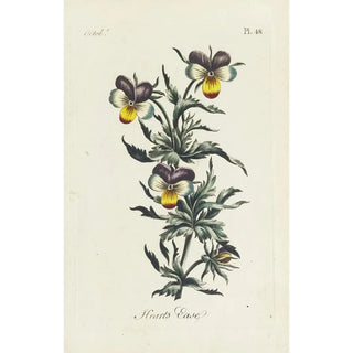 Reproduction of the painting Thought - Carington Bowles