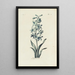 Reproduction of the painting Jacinthe - Carington Bowles
