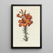 Lys - Carington Bowles — framed artwork on a wall