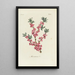 Bois-joli - Carington Bowles — framed artwork on a wall