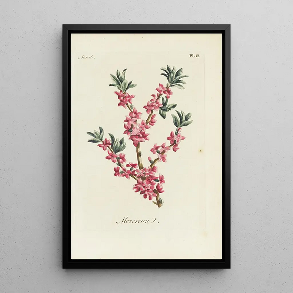 Bois-joli - Carington Bowles — framed artwork on a wall