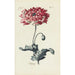 Reproduction of the painting Poppy - Carington Bowles