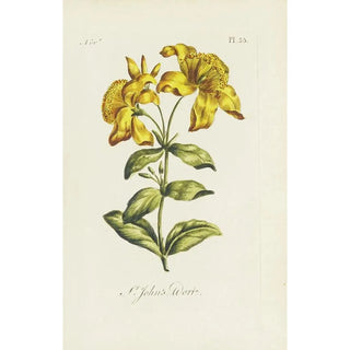 Millepertuis - Carington Bowles — artwork view
