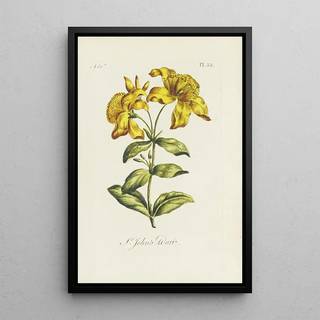 Millepertuis - Carington Bowles — framed artwork on a wall