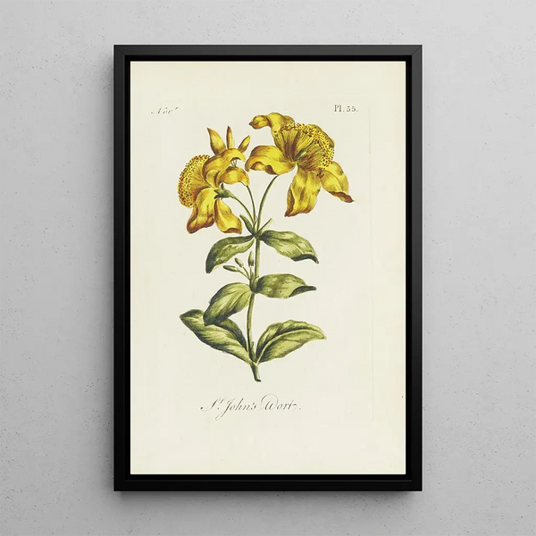 Millepertuis - Carington Bowles — framed artwork on a wall