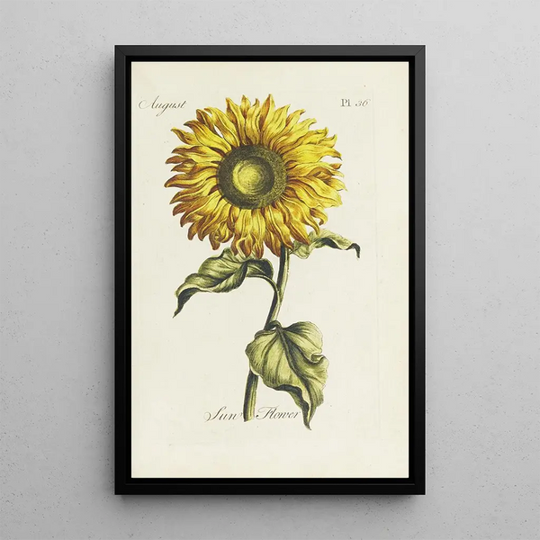 Sunflower Painting - Carington Bowles — framed artwork on a wall