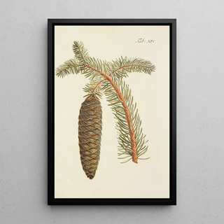 Illustration of wild trees, perennial plants, and shrubs Pl014 - Carl Christoph Oelhafen von Schöllenbach — framed artwork on a wall