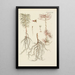 Illustration of wild trees, perennial plants, and shrubs Pl032 - Carl Christoph Oelhafen von Schöllenbach — framed artwork on a wall