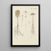 Illustration of wild trees, perennial plants, and shrubs Pl033 - Carl Christoph Oelhafen von Schöllenbach — framed artwork on a wall