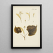 Illustration of wild trees, perennial plants, and shrubs Pl048 - Carl Christoph Oelhafen von Schöllenbach — framed artwork on a wall