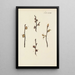 Illustration of wild trees, perennial plants, and shrubs Pl052 - Carl Christoph Oelhafen von Schöllenbach — framed artwork on a wall