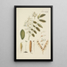 Illustration of wild trees, perennial plants, and shrubs Pl077 - Carl Christoph Oelhafen von Schöllenbach — framed artwork on a wall