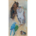 Reproduction of the painting Study of Animals from Schönbrunn Birds - Carl Fahringer