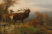 Herd of Red Deer - Carl Friedrich Deiker — artwork view