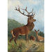 Stag dominant - Carl Friedrich Deiker — artwork view