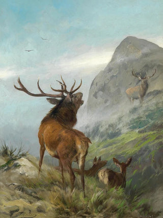 Röhrender Rothirsch - Carl Friedrich Deiker — artwork view