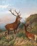Red Deer at Twilight - Carl Friedrich Deiker — artwork view