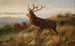 Herd of Deer - Carl Friedrich Deiker — artwork view