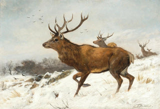 Carl Friedrich Deiker - Stags in the Snow.webp