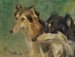 Portrait of Two Borzoi Dogs - Carl Friedrich Kapstein — artwork view