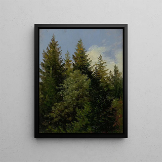 Sapins - Carl Gustav Carus — framed artwork on a wall
