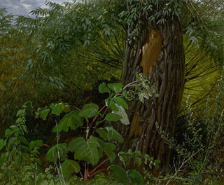 Trunk of a Willow with Underbrush - Carl Gustav Carus — artwork view