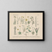 Manual pratique de botanique en mots et en images Pl34 - Carl Hoffmann — framed artwork on a wall