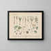 Manuel de botanique pratique en mots et en images Pl37 - Carl Hoffmann — framed artwork on a wall
