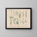 Practical Manual of Botany in Words and Images Pl40 - Carl Hoffmann — framed artwork on a wall