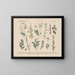 Manuel de botanique pratique en mots et en images Pl41 - Carl Hoffmann — framed artwork on a wall