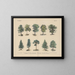 Manuel de botanique pratique en mots et en images Pl43 - Carl Hoffmann — framed artwork on a wall