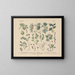 Manuel de botanique pratique en mots et en images Pl48 - Carl Hoffmann — framed artwork on a wall
