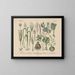 Manuel de botanique pratique en mots et en images Pl50 - Carl Hoffmann — framed artwork on a wall