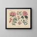 Manuel de botanique pratique en mots et en images Pl52 - Carl Hoffmann — framed artwork on a wall