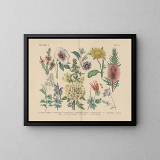Manual pratique de botanique en mots et en images Painting Pl53 - Carl Hoffmann — framed artwork on a wall