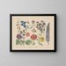 Manuel de botanique pratique en mots et en images Pl54 - Carl Hoffmann — framed artwork on a wall