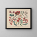 Manual pratique de botanique en mots et en images Pl55 - Carl Hoffmann — framed artwork on a wall