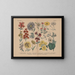 Manuel de botanique pratique en mots et en images Pl56 - Carl Hoffmann — framed artwork on a wall