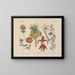Manuel de botanique pratique en mots et en images Pl58 - Carl Hoffmann — framed artwork on a wall