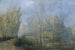 Les Aulnes du Danube - Carl Kaiser-Herbst — artwork view